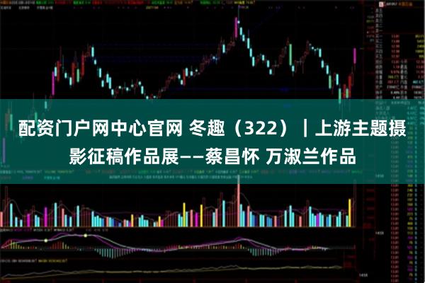 配资门户网中心官网 冬趣（322）｜上游主题摄影征稿作品展——蔡昌怀 万淑兰作品